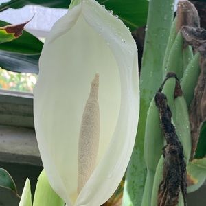 Meet your Posher, Melinda